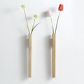 BloomVine – Vase mural suspendu à l’élégance simple pour plantes vertes d’intérieur et d’extérieur
