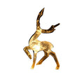 DeerGlow – Guirlande lumineuse LED solaire décorative pour jardin et extérieur