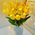 Tulipaner - Élégance éternelle dans une lumière douce