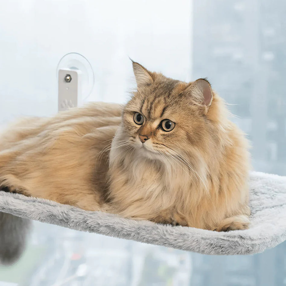 PurrNook – Foldbar Vindue kat-hængekøje med Let at rengøre cover  og sikker støtte