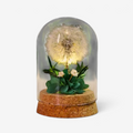 BloomDome – Lampe Décorative avec Fleurs Séchées sous Cloche en Verre