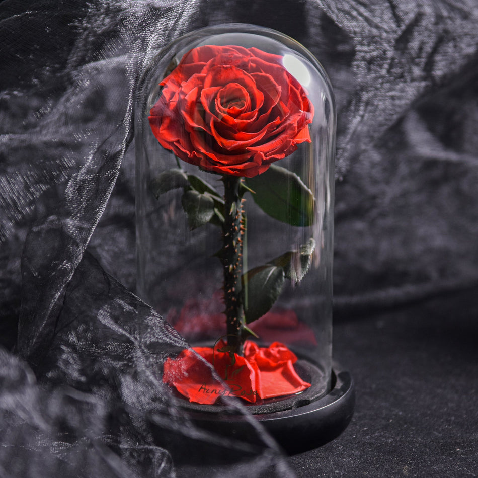 EternaBloom – Konserveret rose i glaskuppel med LED-belysning til romantisk dekoration og gave
