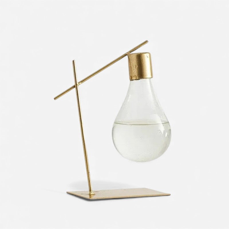 LumiVase – Kreativ blomsterpotte med gennemsigtigt pæredesign