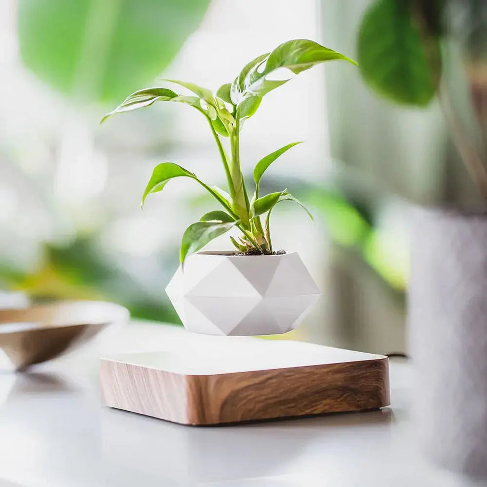 LevaBloom – Flydende Geometrisk Plantepotte med Roterende Base til Stilfuld Fremvisning