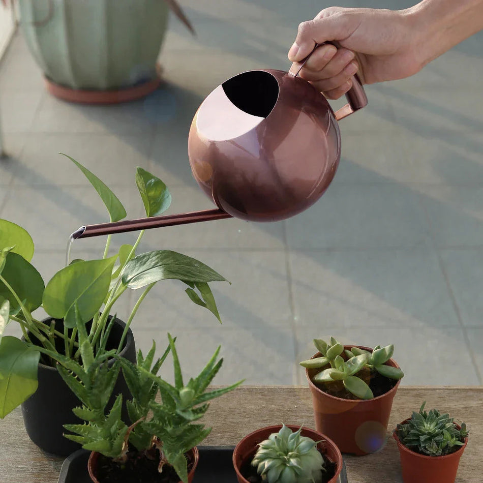 AquaFlow - Minimalistisk vandkande til stilfuld og præcis plantepleje