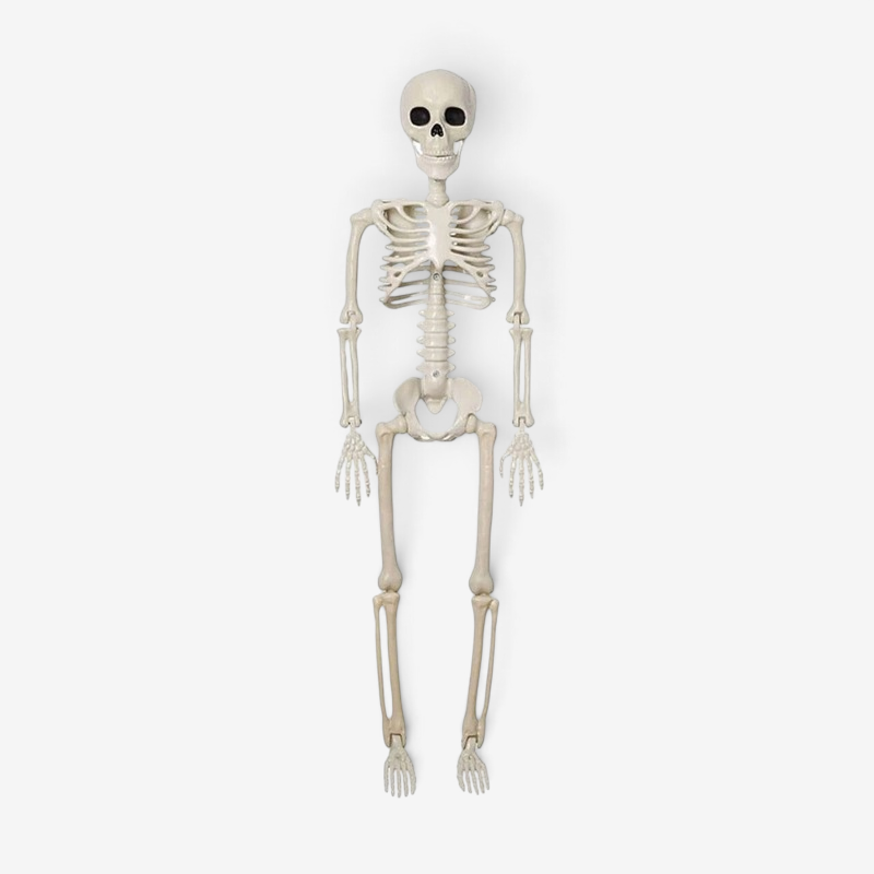Squelette dansant – Décoration de squelette animée pour Halloween