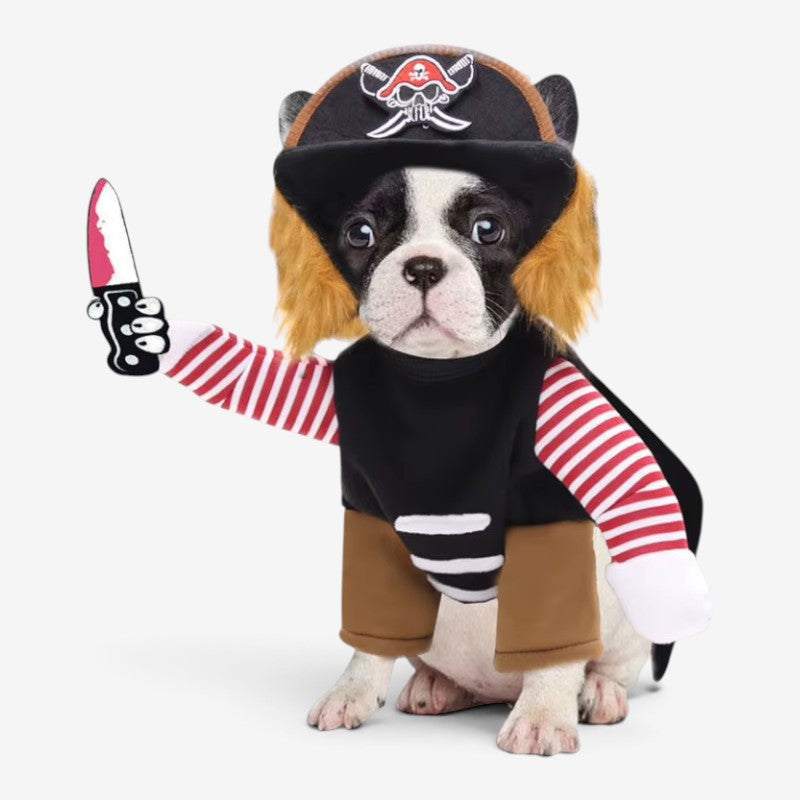 Chien aventurier – Costume de pirate pour chien