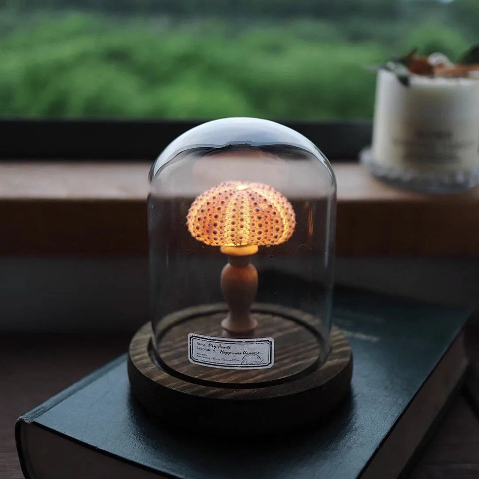 GlowUrchin – Mini veilleuse au design d’oursin en forme d’éponge  