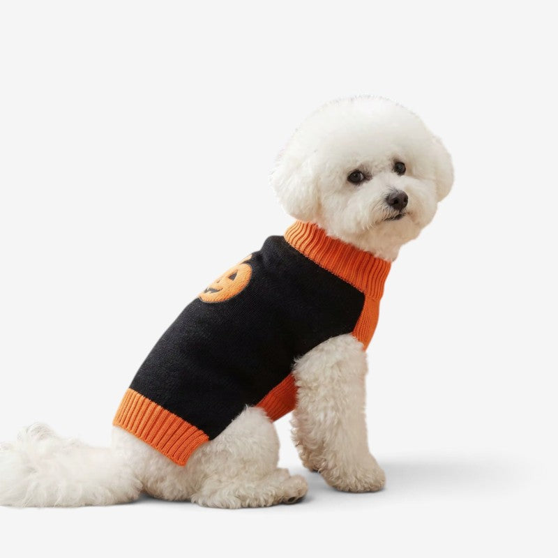 Pawtastic - Pull pour chien en forme de citrouille d’Halloween