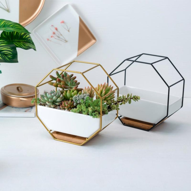 GeoBloom – Jardinière murale octogonale pour décoration verte moderne