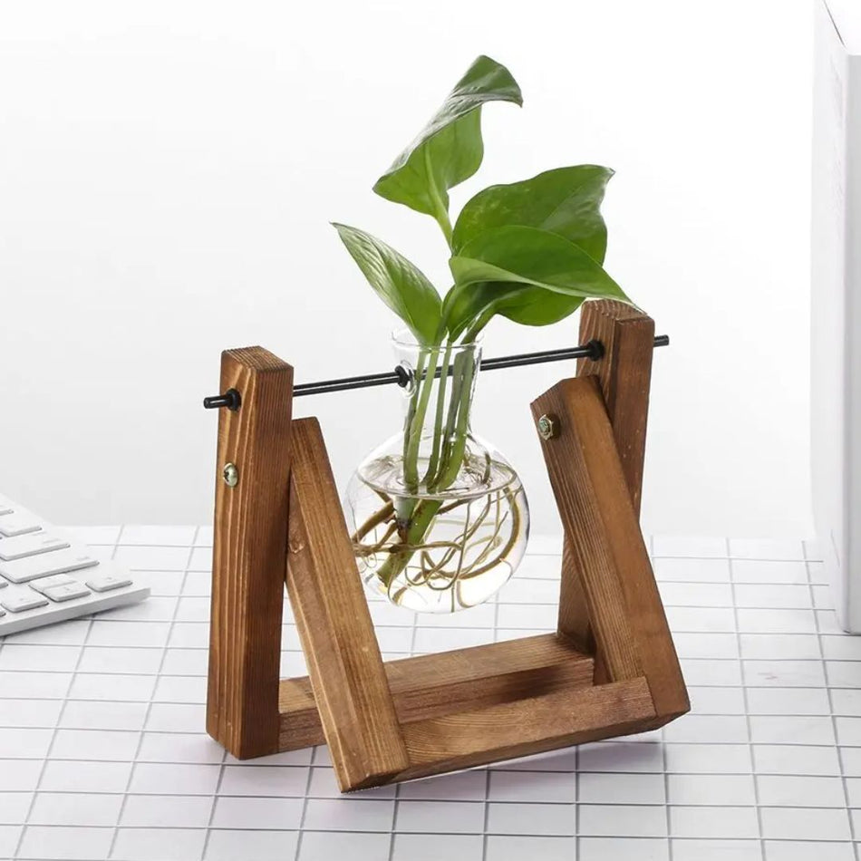 HydroGrow - Pot hydroponique élégant avec plateau en bois