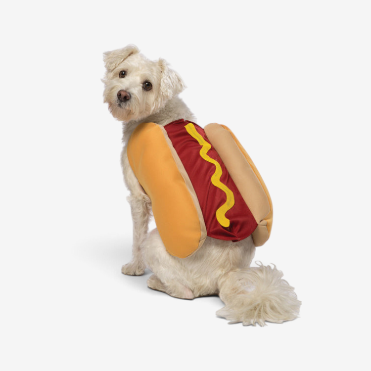 Pawfect – Costume amusant de hot-dog pour chiens