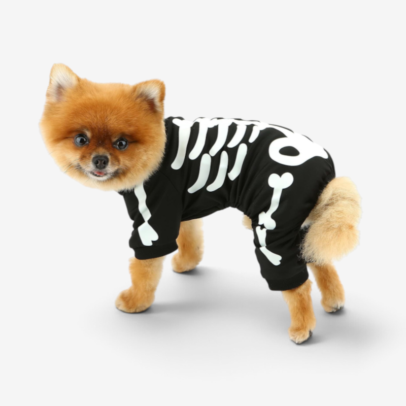 Petify - Combinaison à motif squelette pour chiens