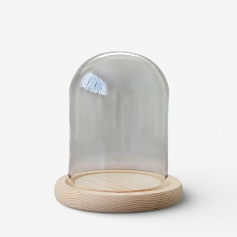LidShine – Lampe de table LED avec couvercle en verre